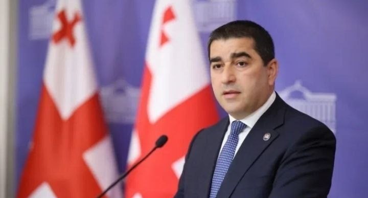 Спикер парламента Грузии Шалва Папуашвили на официальном мероприятии, Абовян