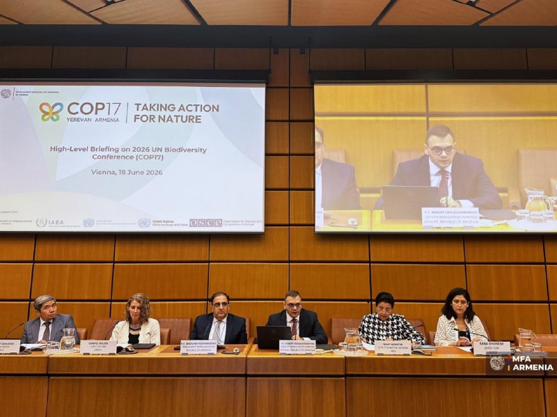 Подготовка к COP17 по биоразнообразию в Ереване: брифинг в Вене с участием замглавы МИД Армении