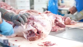 Компания «Атенк» в Абовяне запустила новый этап развития мясного производства при господдержке