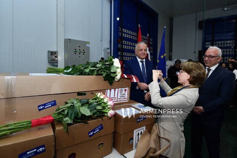 Первая партия роз из Армении в Латвию, 5500 цветов