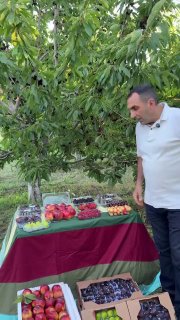 Первая партия армянских фруктов отправлена в ОАЭ из Абовяна