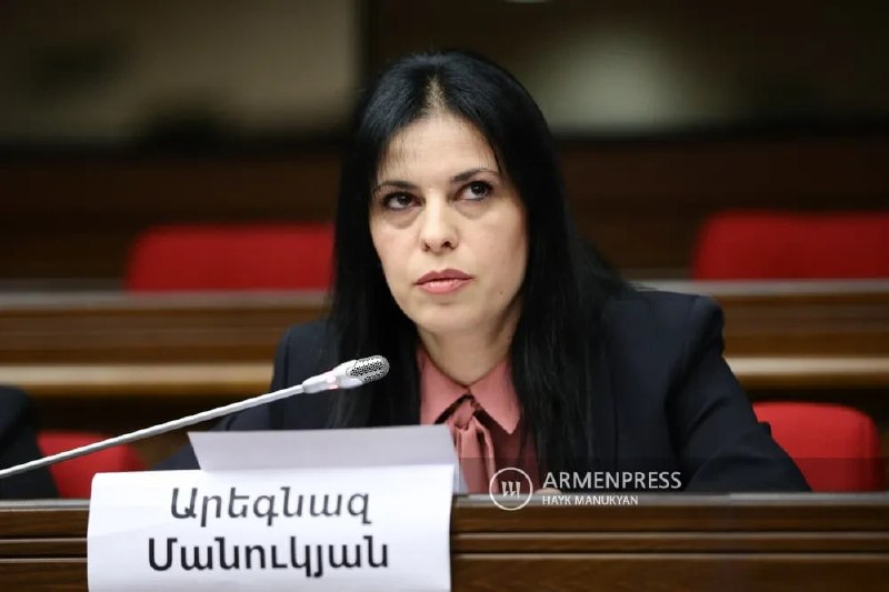Арегназ Манукян арестована на два месяца: что известно в Абовяне